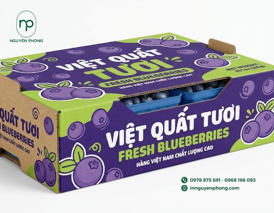 Thùng carton giúp bảo vệ việt quất